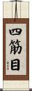 四筋目 Scroll
