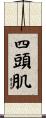 四頭肌 Scroll