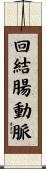 回結腸動脈 Scroll