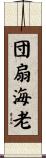 団扇海老 Scroll