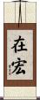 在宏 Scroll