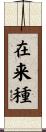 在来種 Scroll