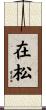 在松 Scroll
