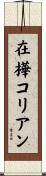 在樺コリアン Scroll