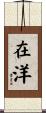 在洋 Scroll