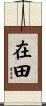 在田 Scroll