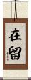 在留 Scroll