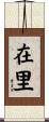 在里 Scroll