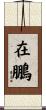 在鵬 Scroll