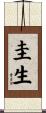 圭生 Scroll
