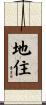 地住 Scroll