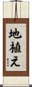 地植え Scroll