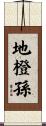 地橙孫 Scroll