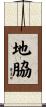 地脇 Scroll