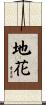 地花 Scroll