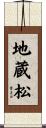 地蔵松 Scroll