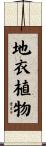 地衣植物 Scroll