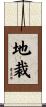 地裁 Scroll