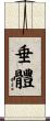 垂體 Scroll