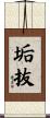 垢抜 Scroll