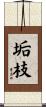 垢枝 Scroll