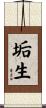 垢生 Scroll