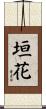 垣花 Scroll