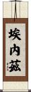 Enez Scroll
