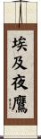 埃及夜鷹 Scroll