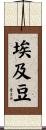 埃及豆 Scroll