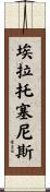 埃拉托塞尼斯 Scroll