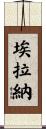 Elana Scroll