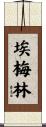 Emelyn Scroll