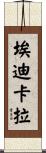 埃迪卡拉 Scroll