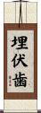 埋伏歯 Scroll