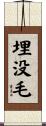 埋没毛 Scroll