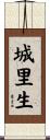 城里生 Scroll