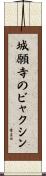 城願寺のビャクシン Scroll