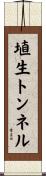 埴生トンネル Scroll