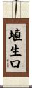 埴生口 Scroll