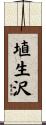 埴生沢 Scroll