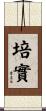 培實 Scroll