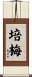 培梅 Scroll