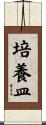 培養皿 Scroll