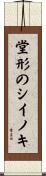 堂形のシイノキ Scroll