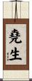 堯生 Scroll