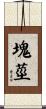 塊莖 Scroll
