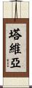 Tavia Scroll