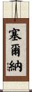 Cerna Scroll