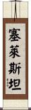 Celestin Scroll